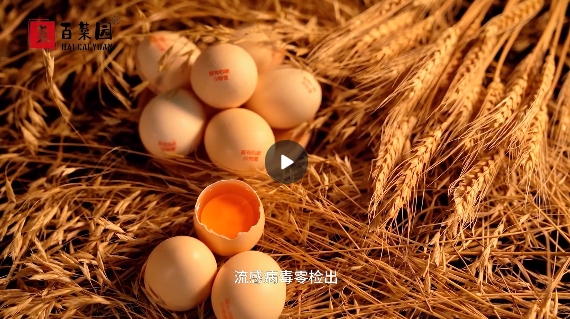 &#20048;&#25237;&#22312;&#32447;&#45;&#20048;&#25237;&#22312;&#32447;&#40;&#20013;&#22269;&#41;
